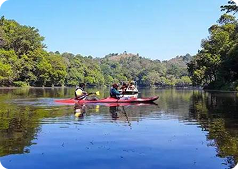 Pookode Lake